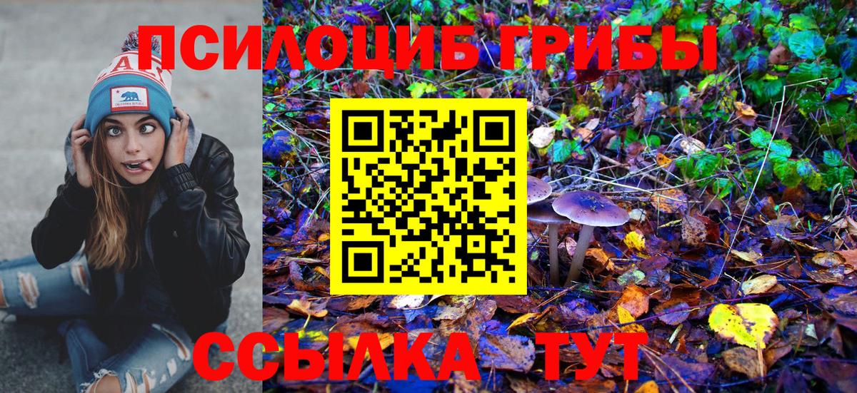 купить  цена  Вход с VPN  Копейск  Галлюциногенные грибы Cubensis 